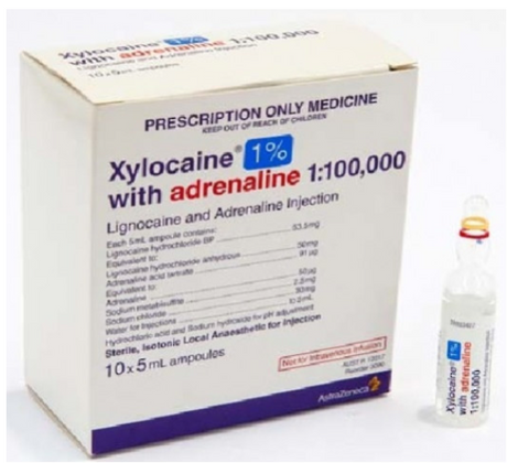 1% Xylocaine/with Adrenaline 1:100,000  - 10 x 5ml